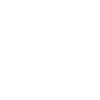Vision