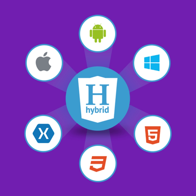 Hybrid App Development Company in Hyderabad