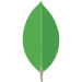 icons8-mongodb-a-cross-platform-document-oriented-database-program-100 MERN Stack Development Services